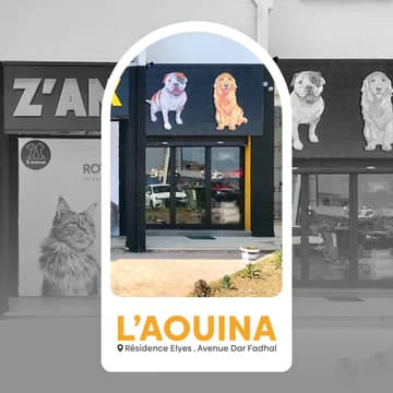 L'Aouina