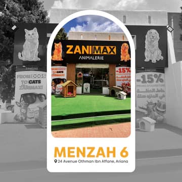 Zanimax Menzah 6
